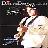 پرنده بی پرنده