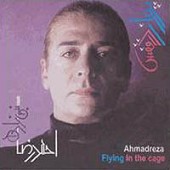 پرواز در قفس
