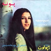 تسبیح صد دونه