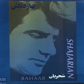 Bahareh Delkash