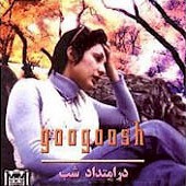 در امتداد شب