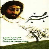 حجم سبز