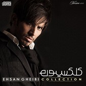 Collection