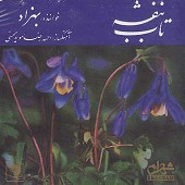 Tabeh Banafsheh