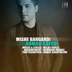 Mishe Bargardi