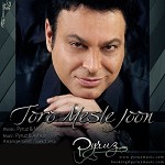 Toro Mesle Joon by Pyruz