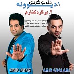 Delamo Kardi Divooneh feat  Amin Gholami