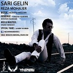 Sari Gelin