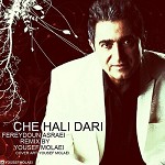 Che Hali Dari (Yoosef Molaie Remix) by Fereydoon Aseraee