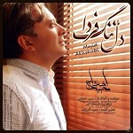 دل تنگ فردا