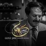 Goli Jan by Fariborz Lachini