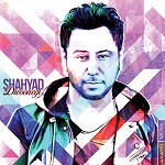 Divoonegi by Shahyad