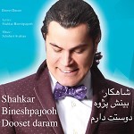 Dooset Daram by Shahkar Binesh Pajoh