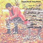 دلم برات تنگ میشه