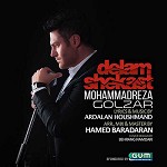 Delam Shekast by Mohammadreza Golzar