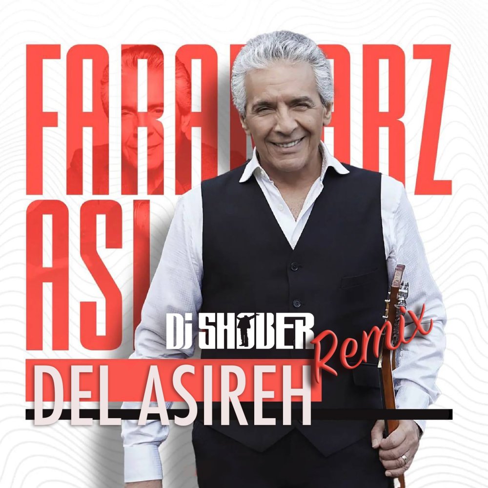 دل اسیره (دی جی شوبر ریمیکس)