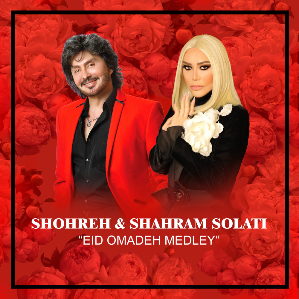 مدلی