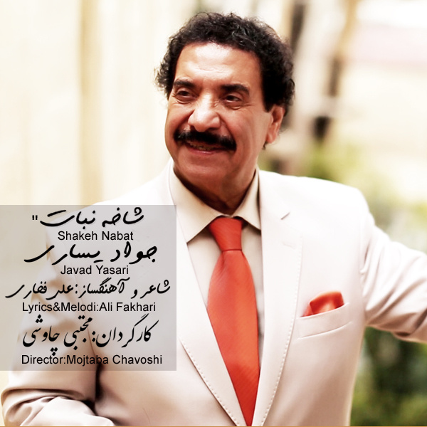 شاخه نبات