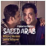 Mehraboonam by Saeed Arab