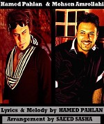 Dooset Daram ft  Mohsen Amrelahi