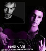 Ft Hesamodin - Nari Nari by Alireza Roozegar
