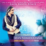 Man Nemidoonam