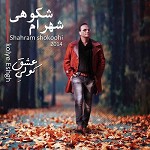 از ماست که بر ماست (کولی عشق)
