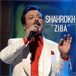 زیبا
