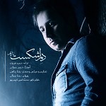 Delam Shekast